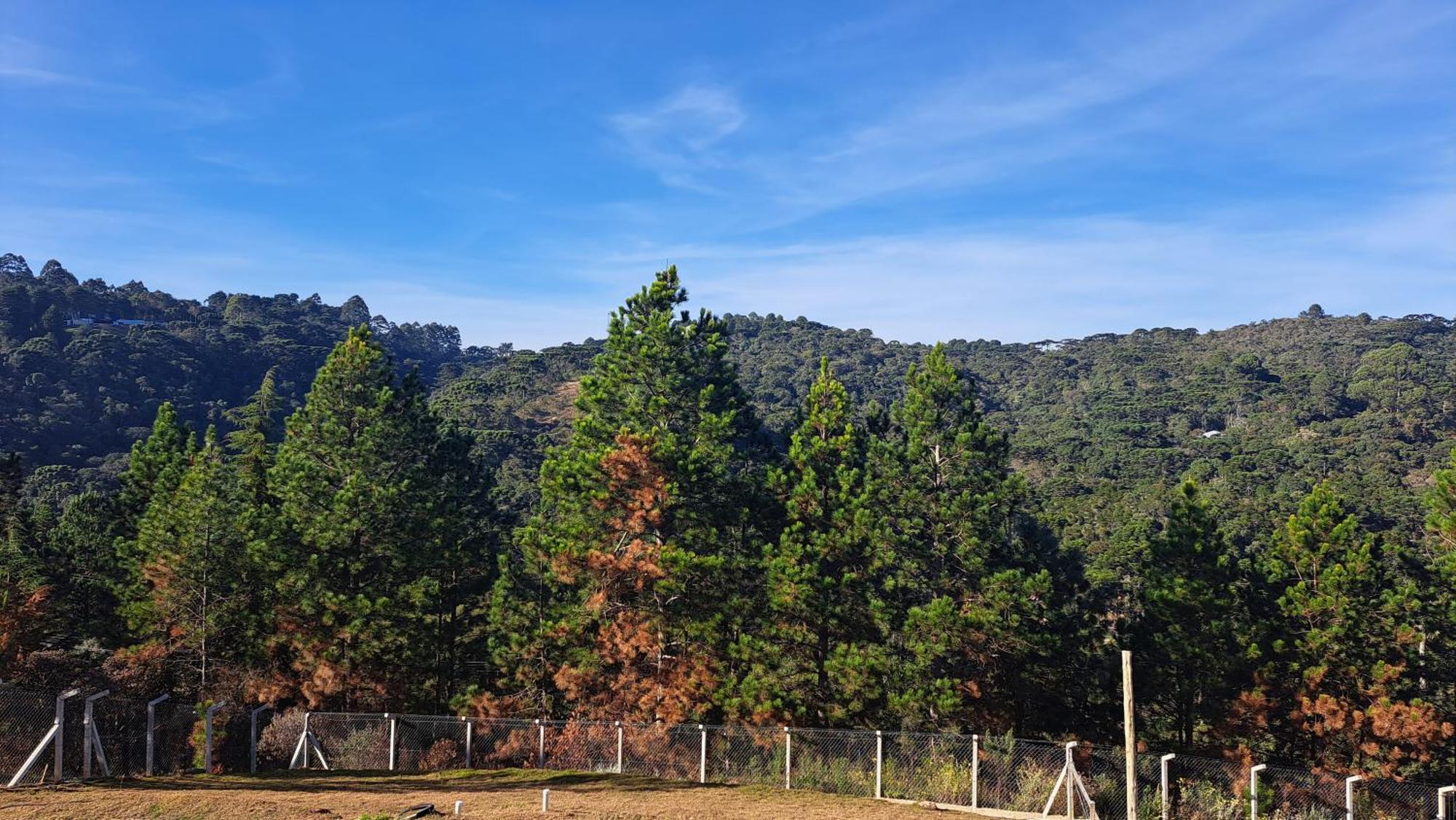 Chale Luz Do Luar Romantismo E Uma Linda Vista Campos do Jordao Exterior photo